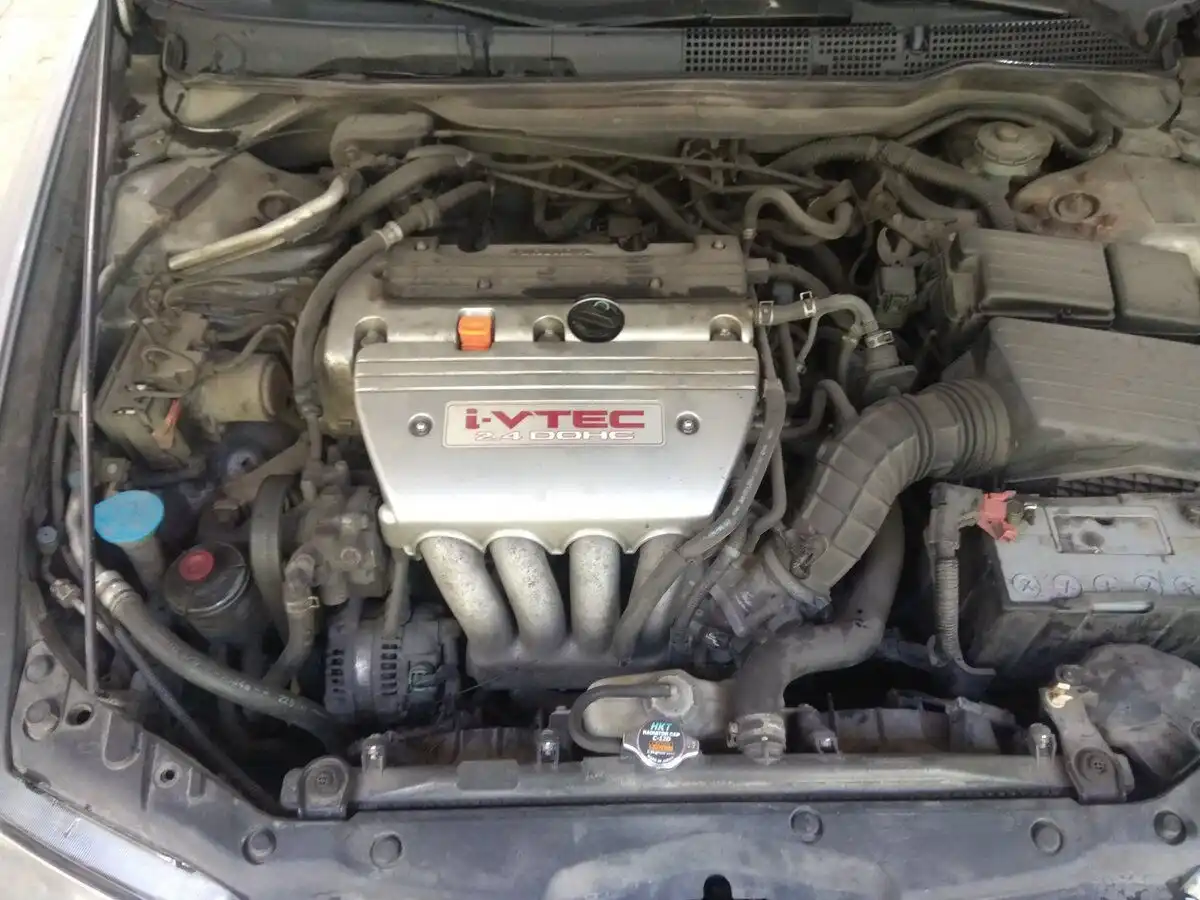 Фото автомобиля HONDA ACCORD, 2003 — госномер Р507ЕК181. Цвет: Серебристый
