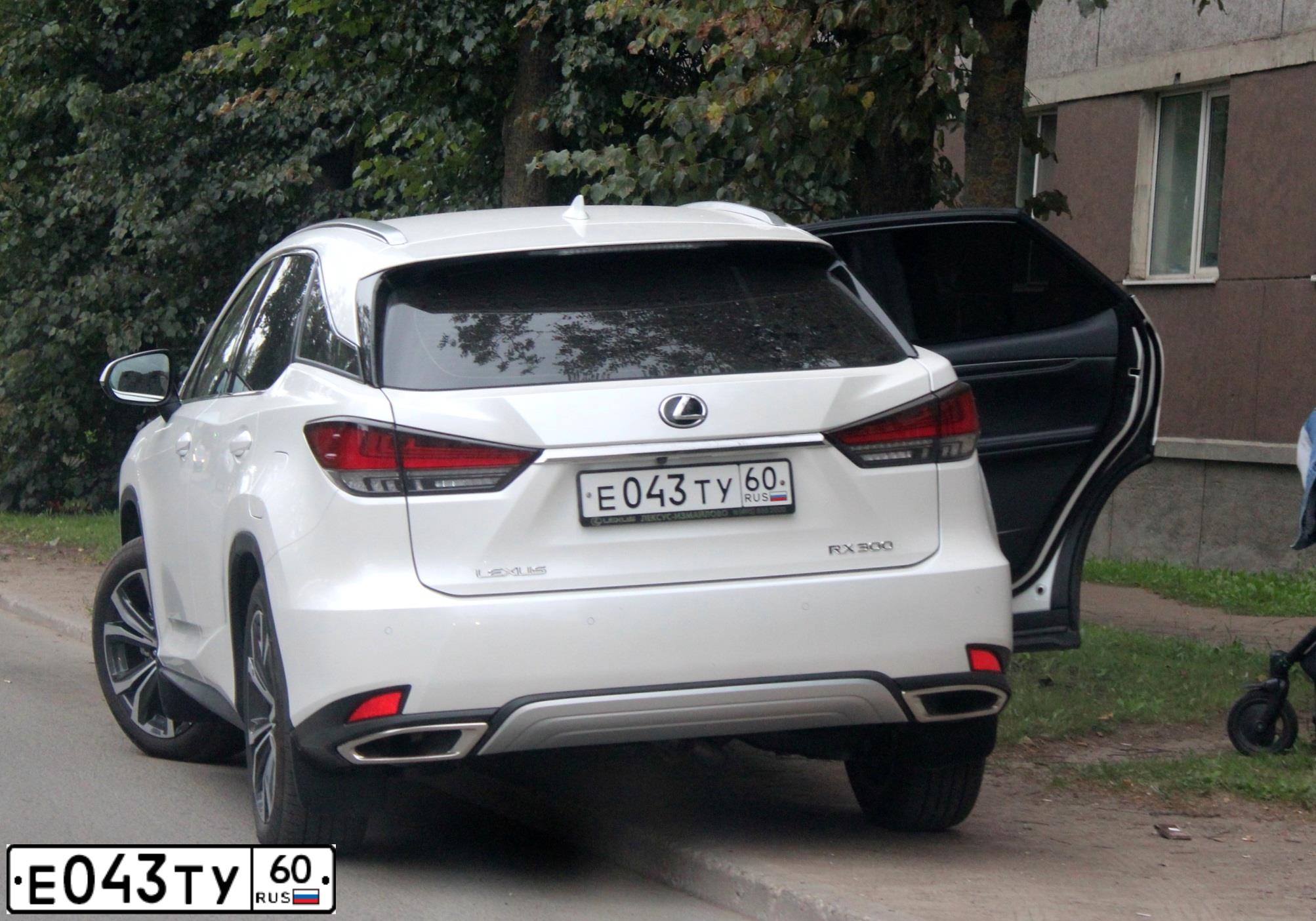 Фото автомобиля LEXUS RX, 2019 — госномер Е043ТУ60. Цвет: Белый