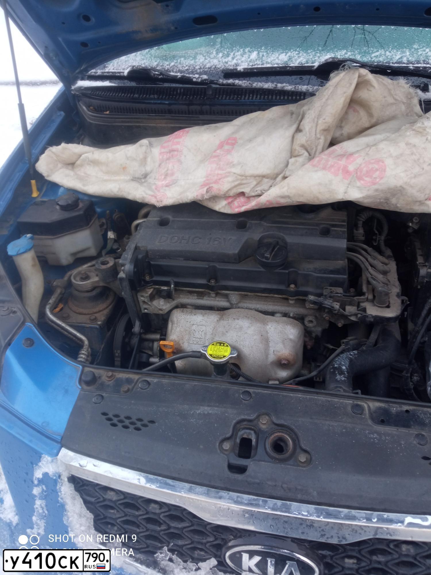 Фото автомобиля KIA RIO, 2009 — госномер Р474НО46
