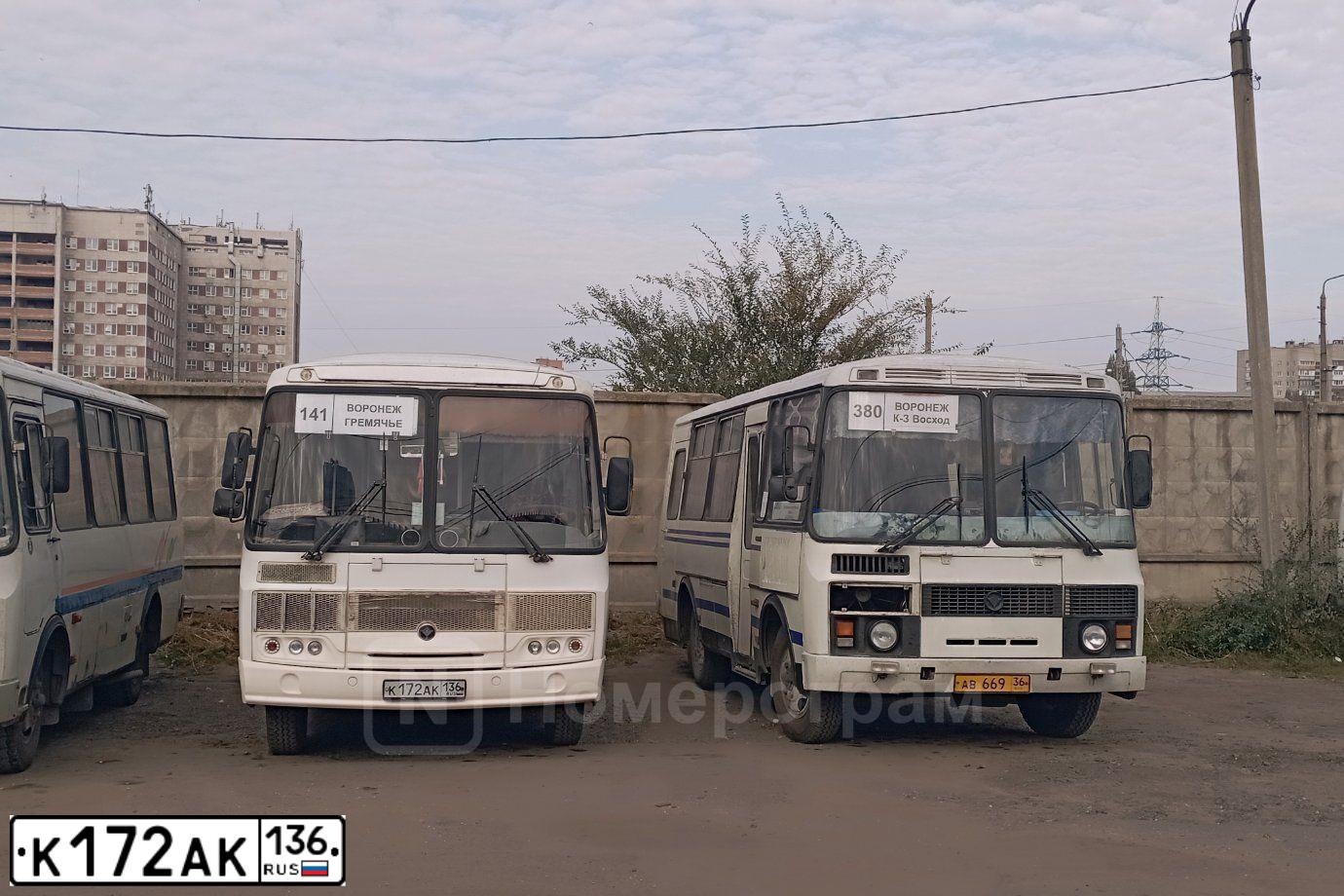 Фото автомобиля PAZ 3205, 2015 — госномер К172АК136. Цвет: Белый
