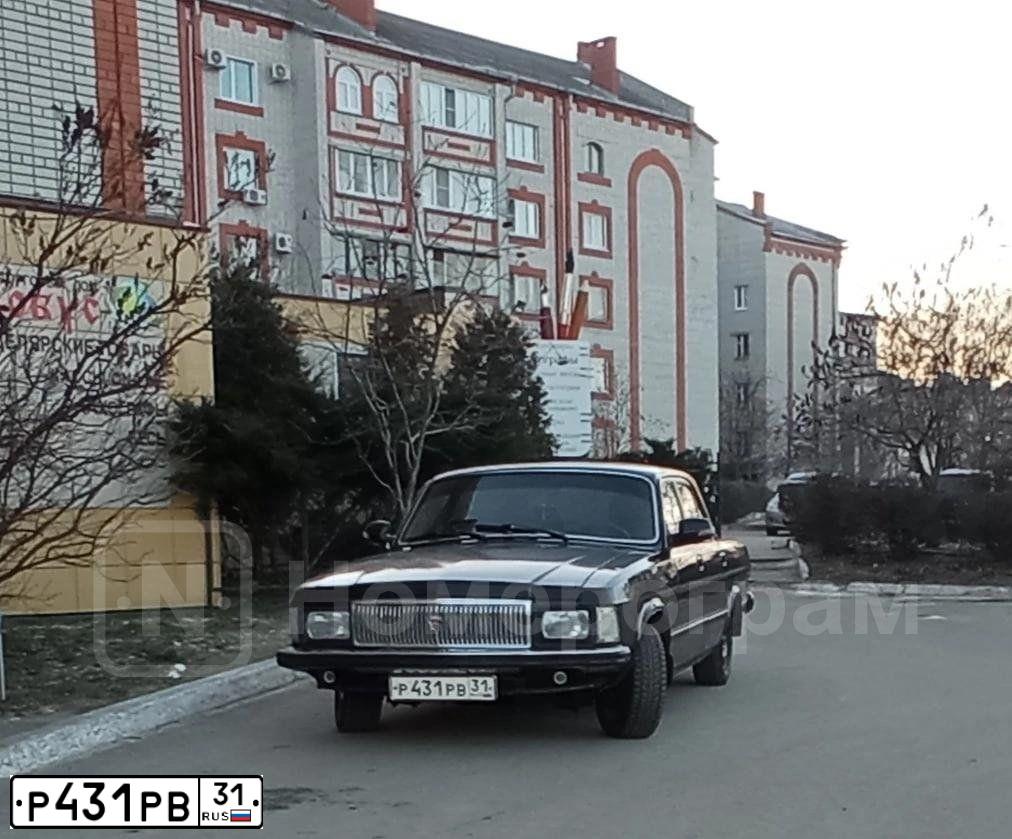 Фото автомобиля GAZ 3102 WOLGA, 2006 — госномер Р431РВ31. Цвет: АВАНТЮРИН