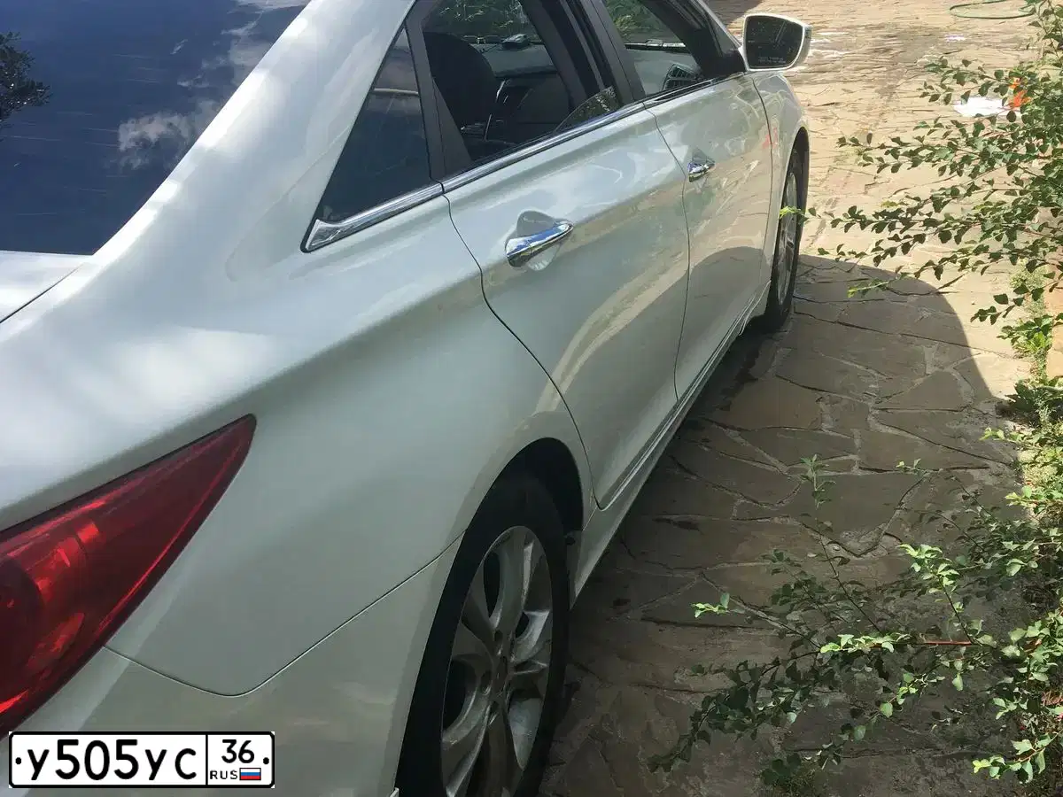 Фото автомобиля HYUNDAI SONATA, 2010 — госномер Т729КН31. Цвет: Белый