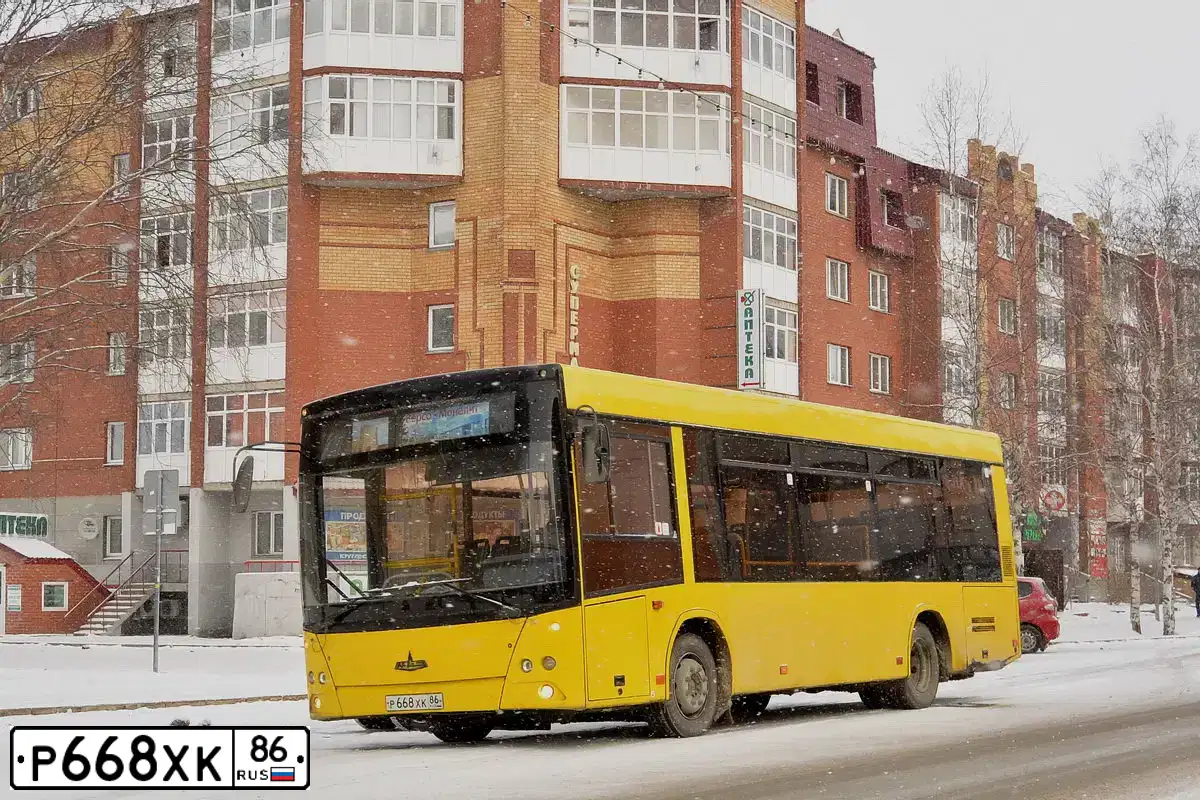 Фото автомобиля MAZ 206 - 226, 2011 — госномер Р668ХК86. Цвет: ЖЕЛТЫЙ