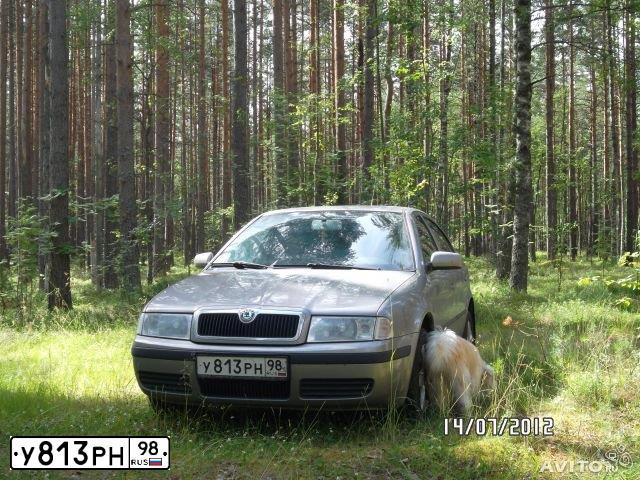Фото автомобиля SKODA OCTAVIA, 2008 — госномер Т840ХЕ799. Цвет: Серый