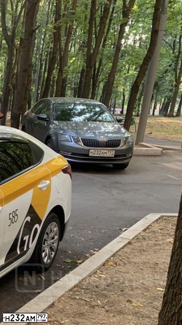 Фото автомобиля SKODA OCTAVIA, 2019 — госномер Н232АМ797. Цвет: ТЕМНО-СЕРЫЙ