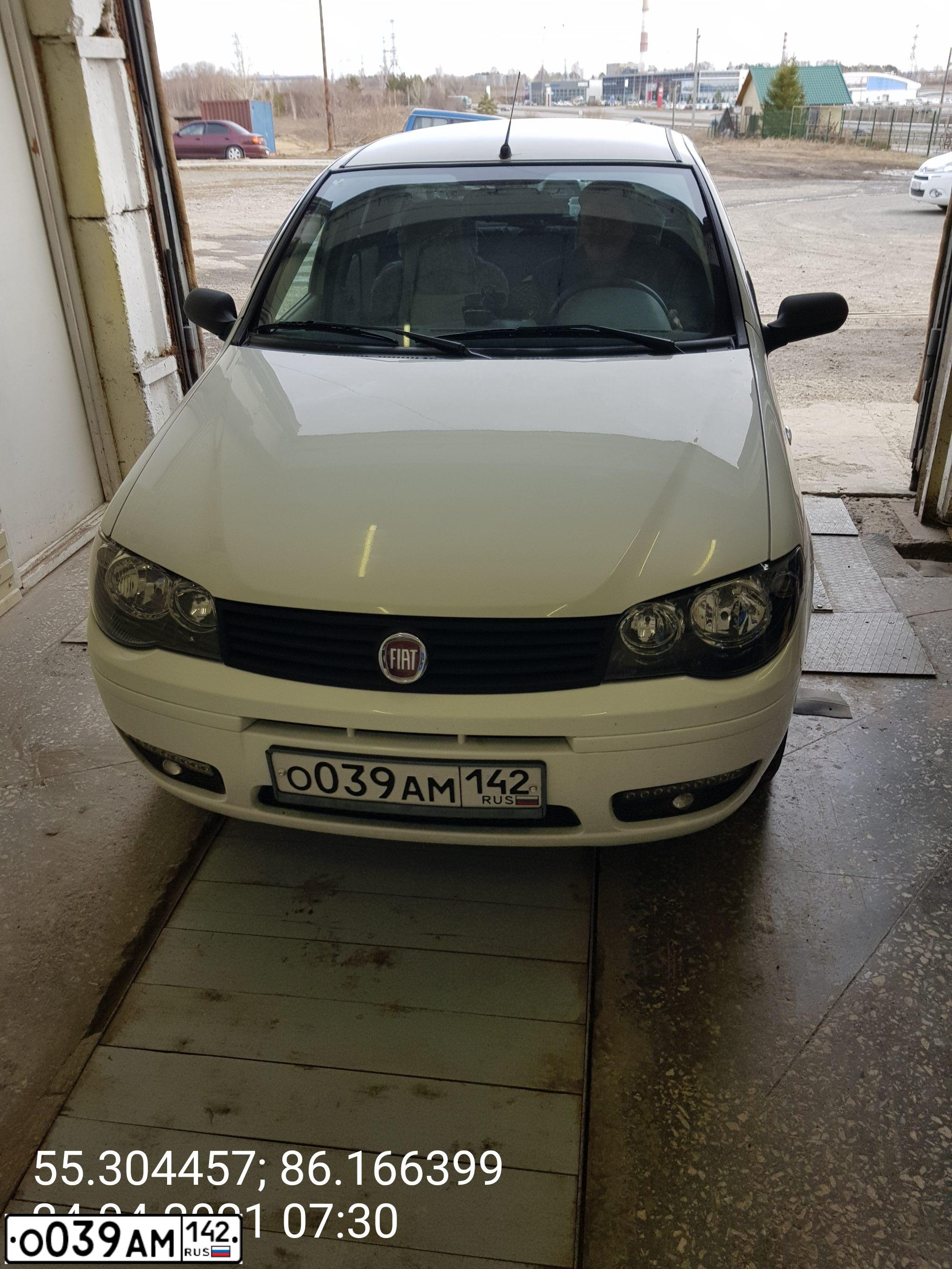 Фото автомобиля FIAT ALBEA, 2011 — госномер О039АМ142. Цвет: БЕЛЫЙ