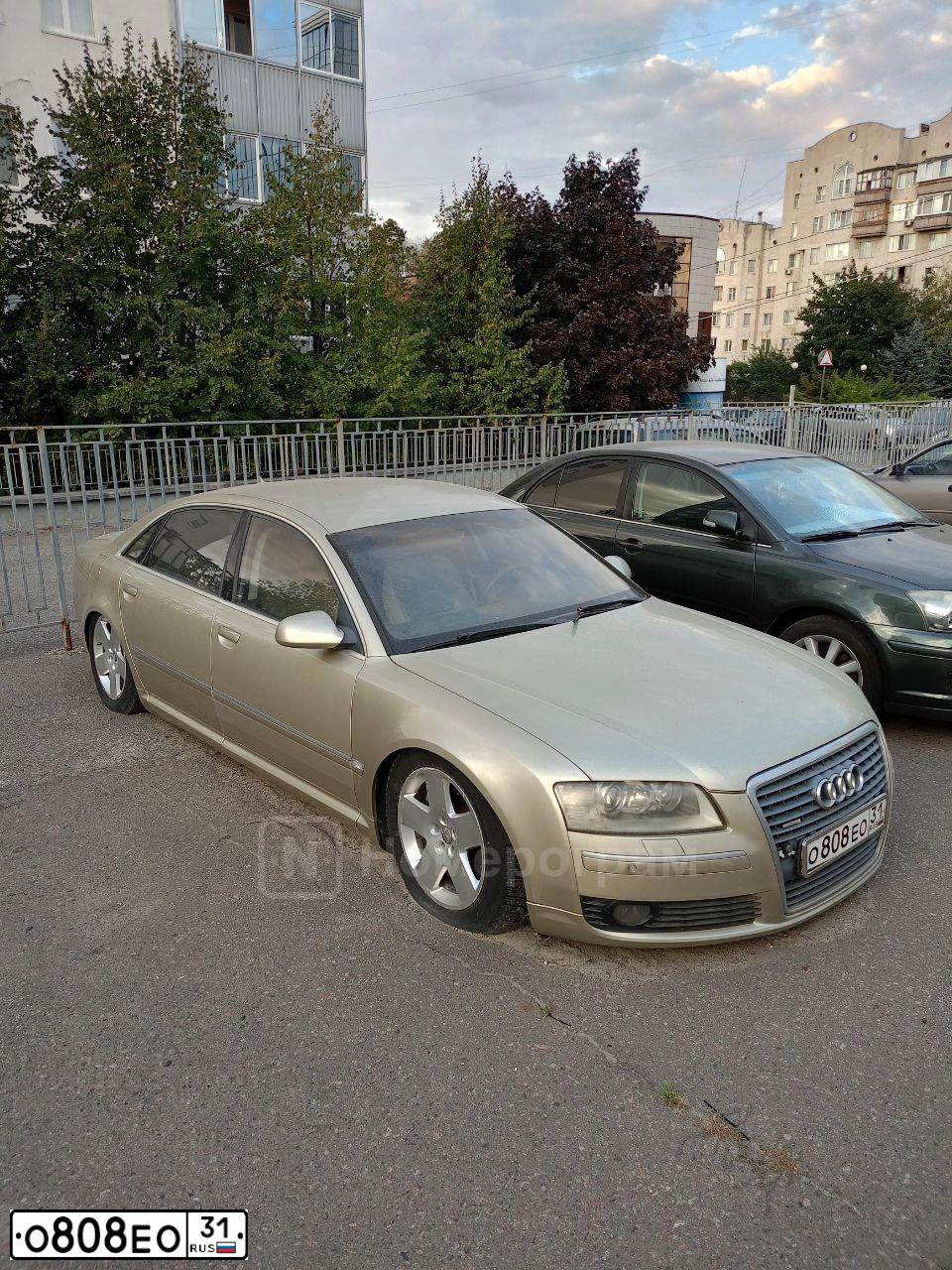 Фото автомобиля AUDI A8, 2005 — госномер О808ЕО31. Цвет: БЕЖЕВЫЙ