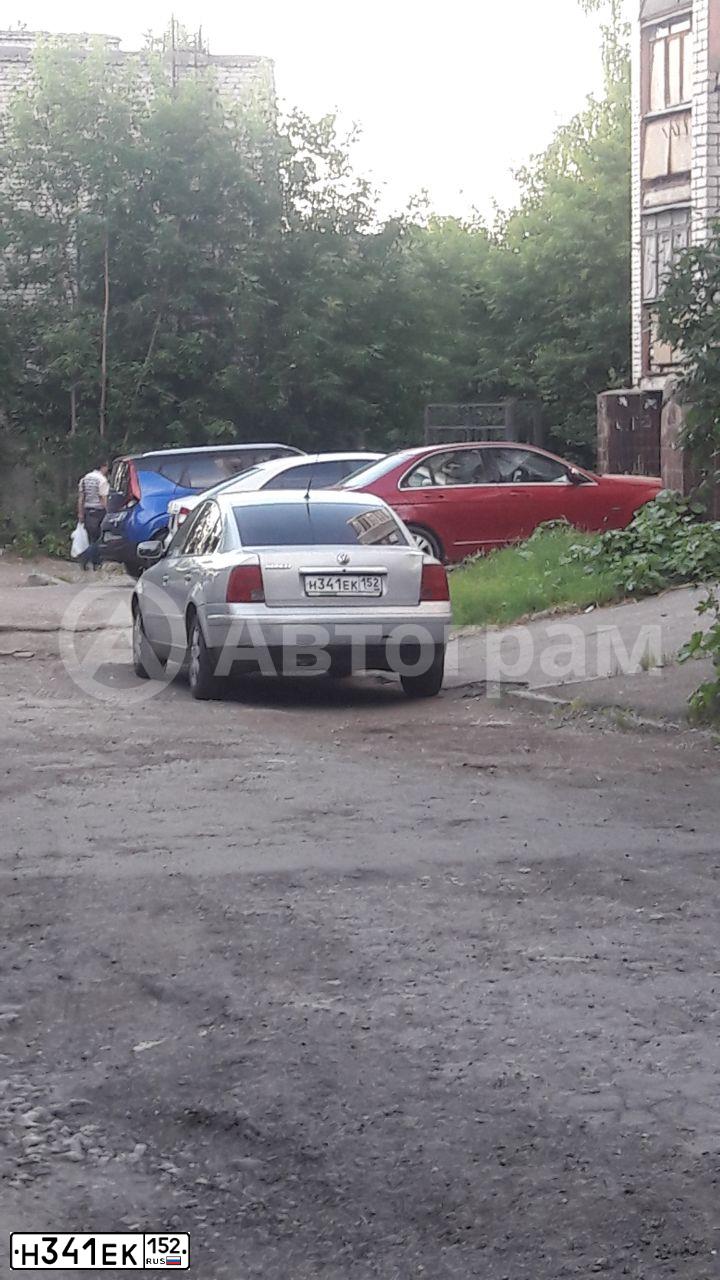 Фото автомобиля VOLKSWAGEN PASSAT, 2000 — госномер Н341ЕК152. Цвет: СВЕТЛО-СЕРЫЙ