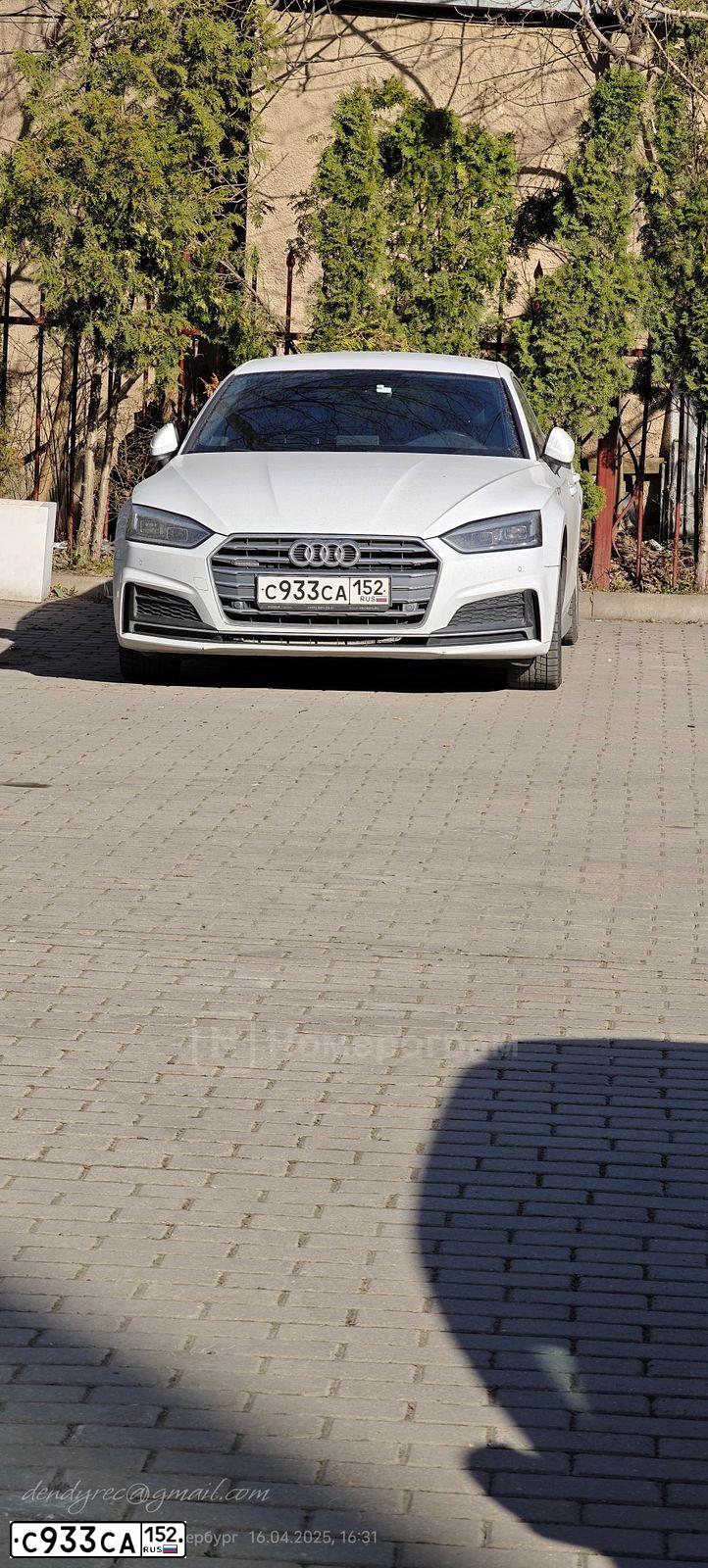 Фото автомобиля AUDI A5, 2019 — госномер С933СА152. Цвет: Белый
