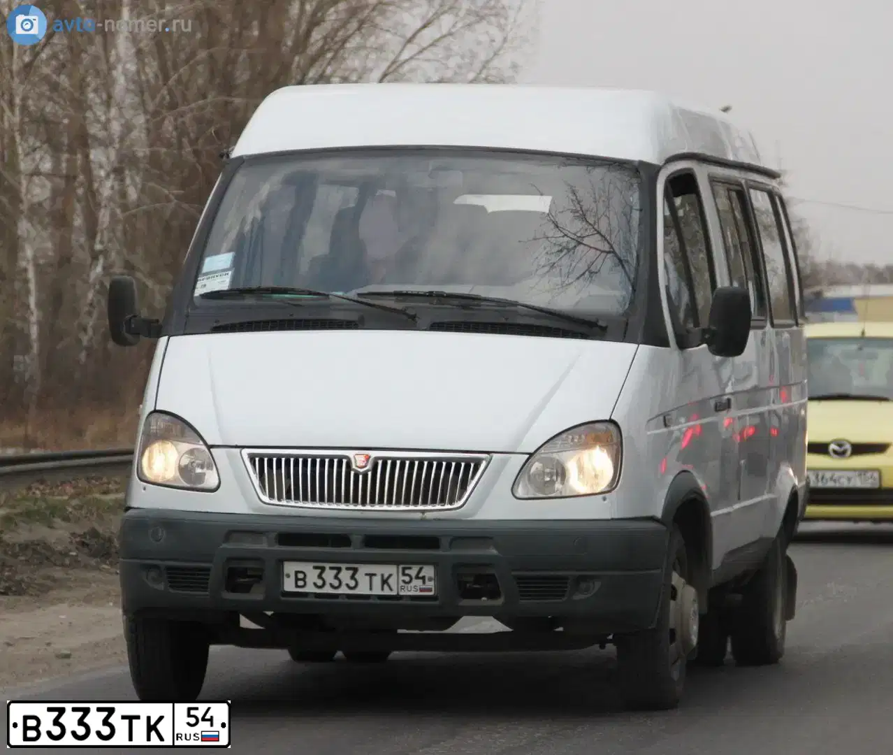 Фото автомобиля GAZ 3221 GAZEL, 2003 — госномер В333ТК54. Цвет: СНЕЖНО БЕЛЫЙ