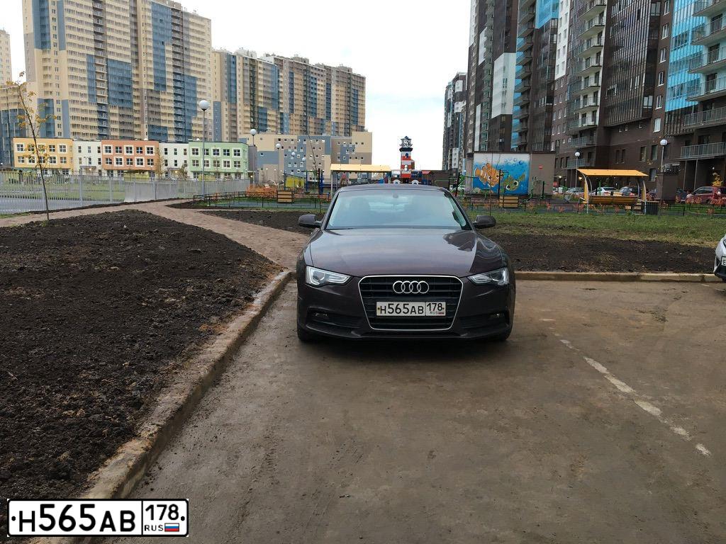 Фото автомобиля AUDI A5, 2012 — госномер Н565АВ178. Цвет: БОРДОВЫЙ