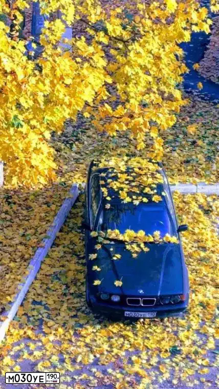 Фото автомобиля BMW SERIE 5, 1994 — госномер Е488РР790. Цвет: ЧЕРНЫЙ