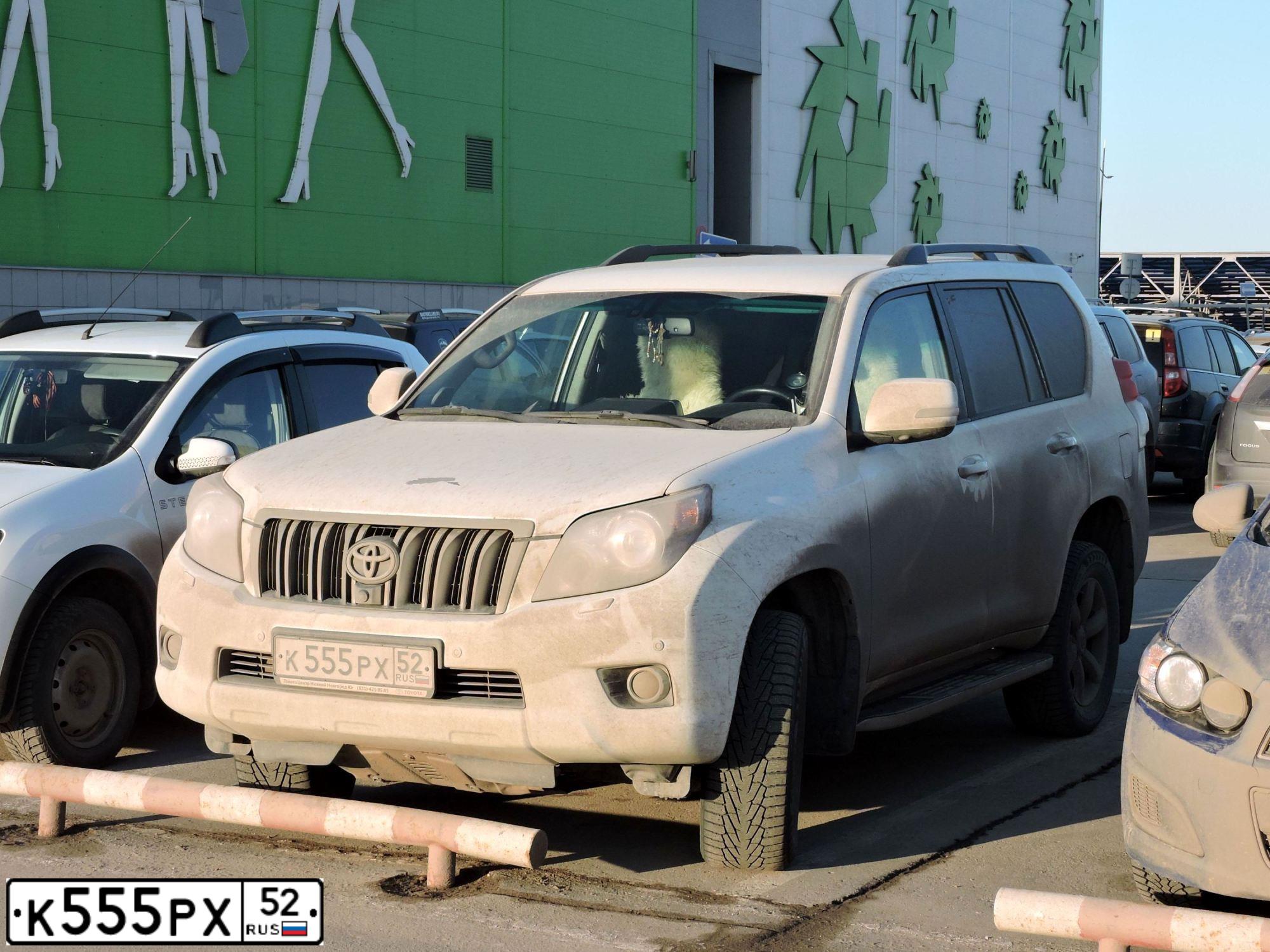 Фото автомобиля TOYOTA LANDCRUISER, 2011 — госномер К555РХ52. Цвет: БЕЛЫЙ