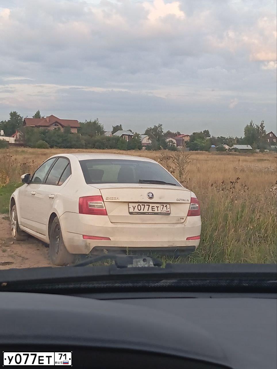 Фото автомобиля SKODA OCTAVIA, 2013 — госномер У077ЕТ71. Цвет: Белый