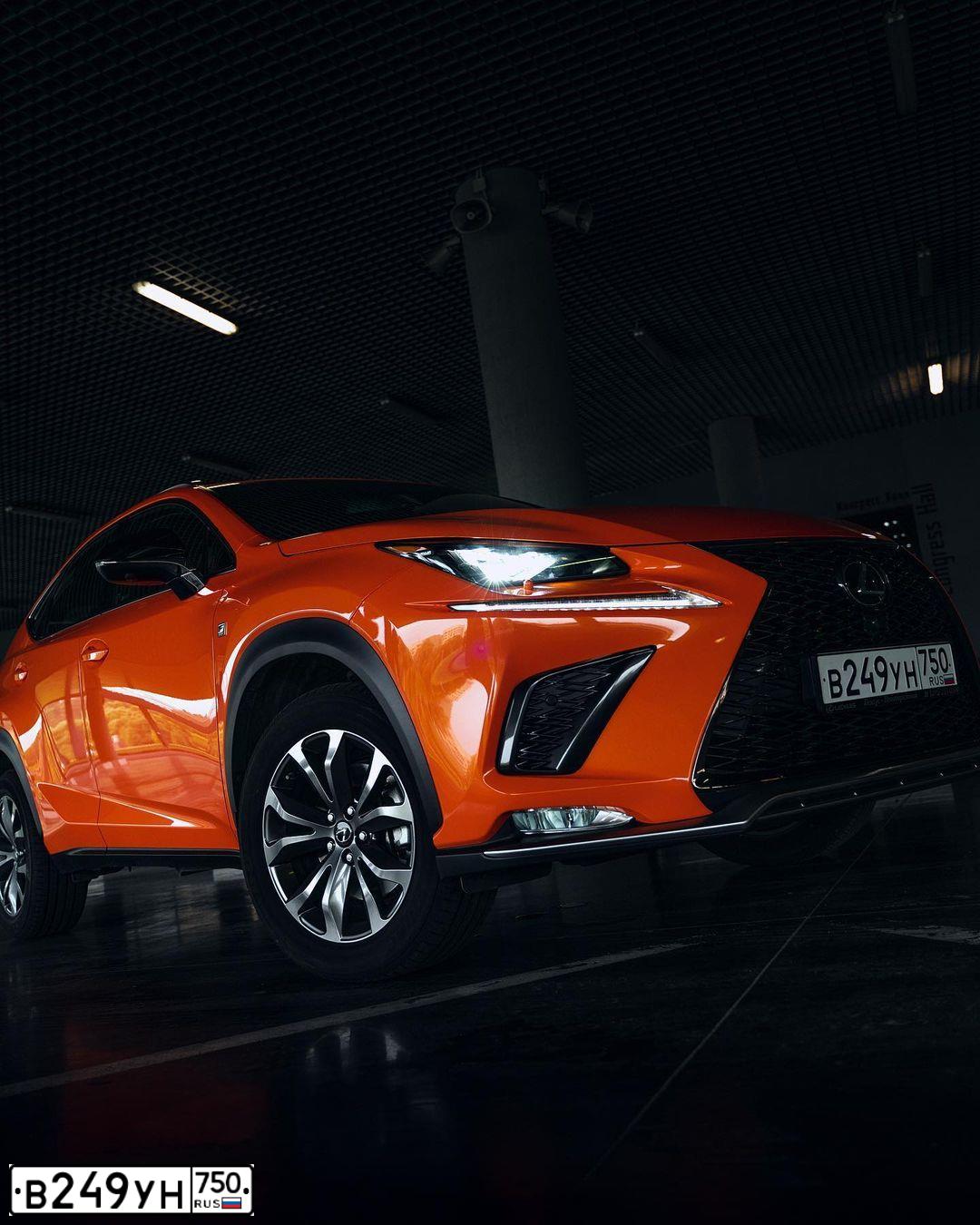 Фото автомобиля LEXUS NX, 2019 — госномер Х859ТР33. Цвет: Оранжевый