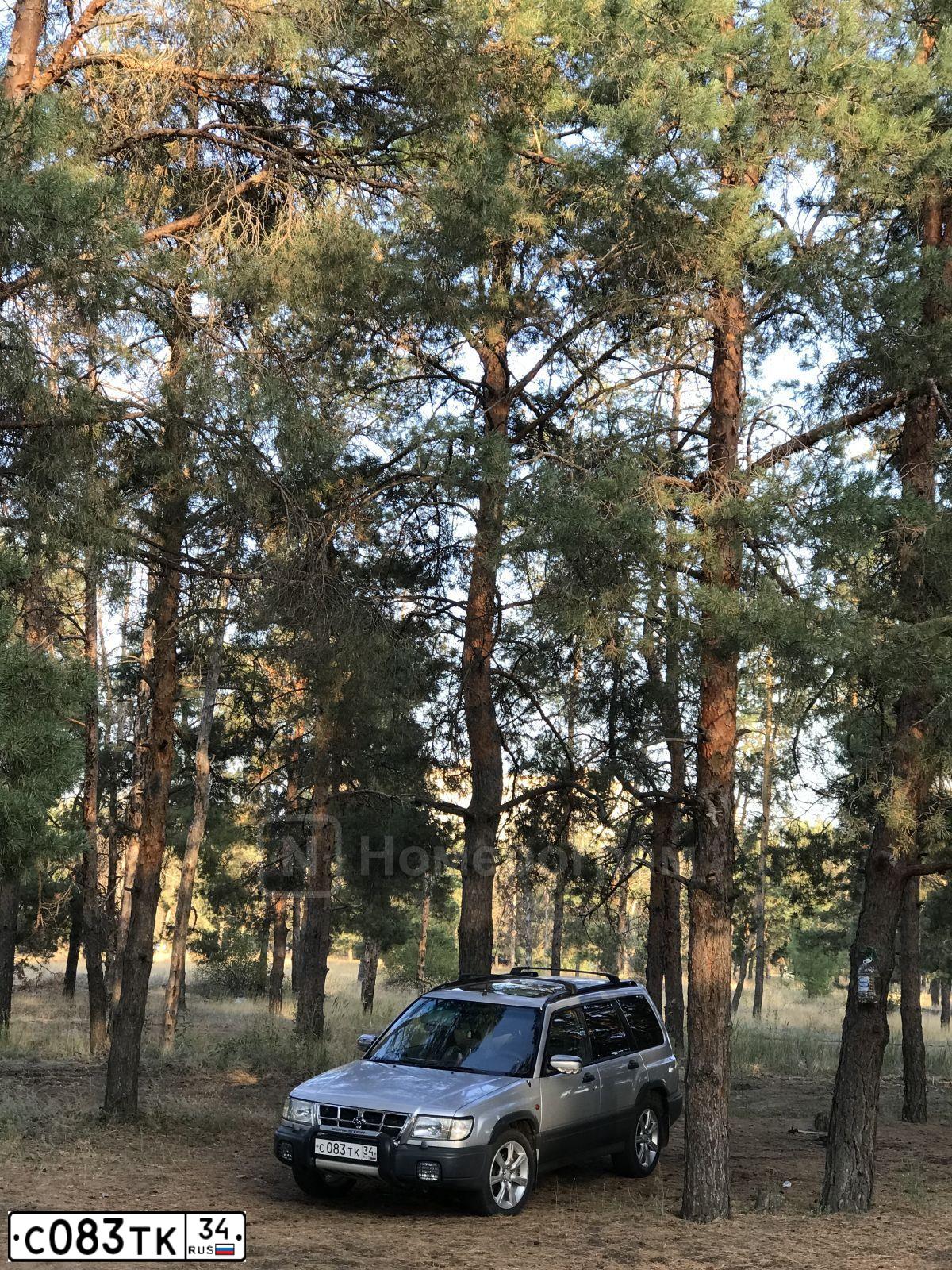 Фото автомобиля SUBARU FORESTER, 1997 — госномер С083ТК34. Цвет: Серебристый