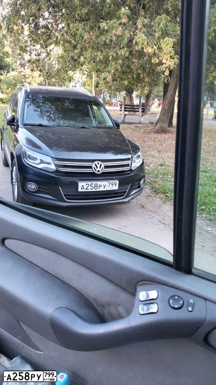 Фото автомобиля VOLKSWAGEN TIGUAN, 2013 — госномер Н164ЕС799. Цвет: ЧЕРНЫЙ
