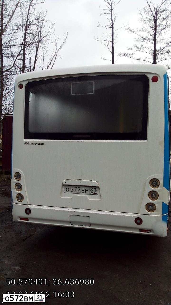 Фото автомобиля PAZ 3204, 2014 — госномер О572ВМ31. Цвет: Белый