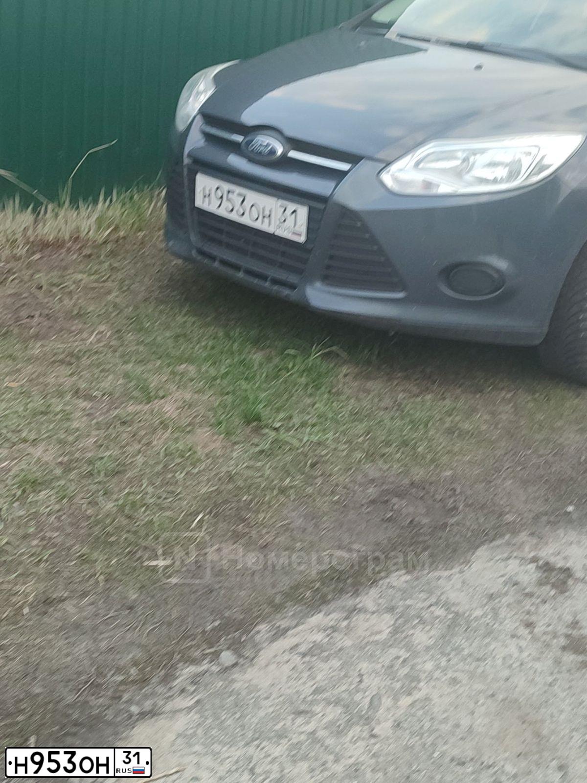 Фото автомобиля FORD FOCUS, 2013 — госномер Н953ОН31. Цвет: ТЕМНО-СЕРЫЙ