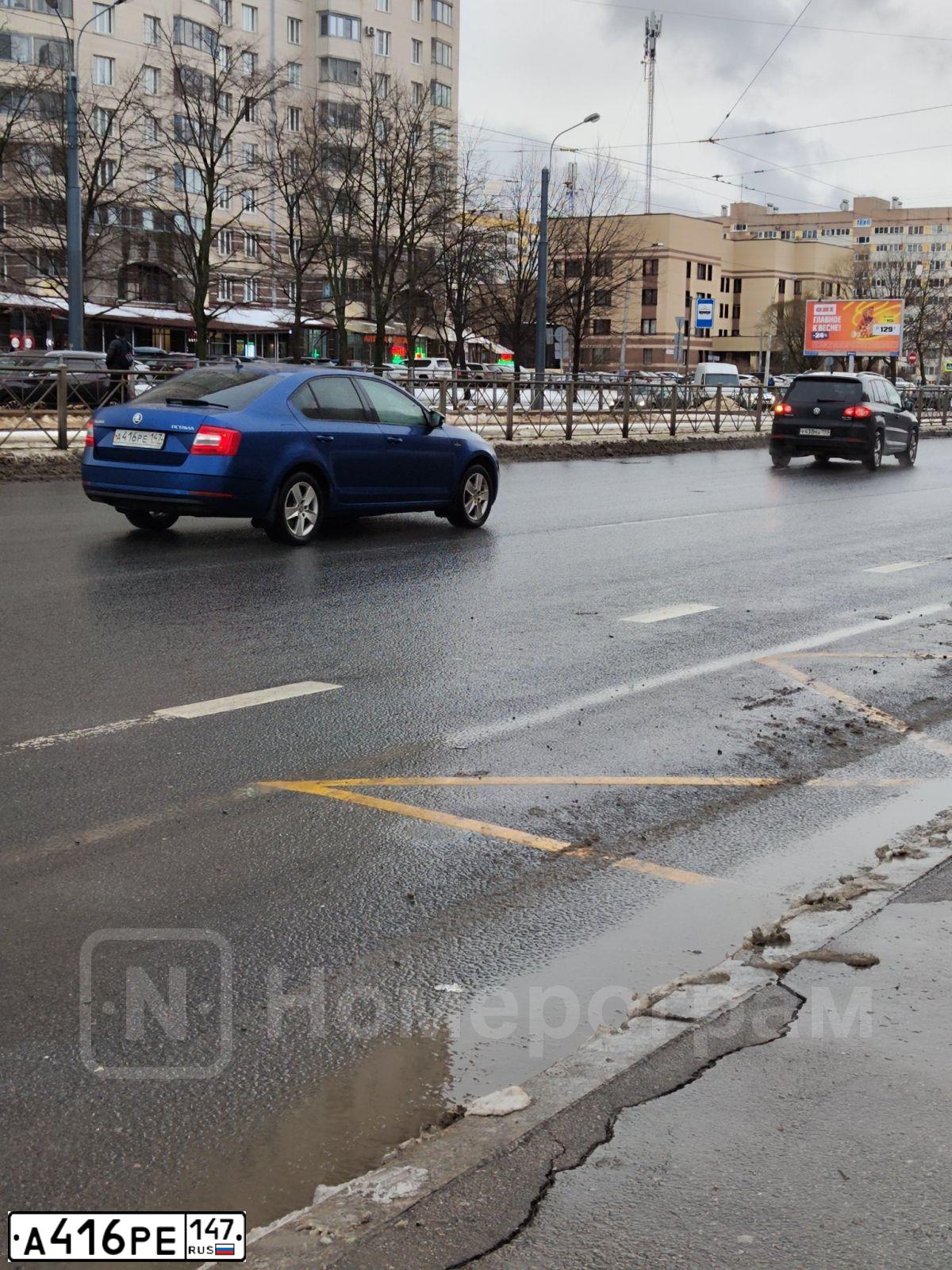Фото автомобиля SKODA OCTAVIA, 2019 — госномер Е230НМ799. Цвет: ЯРКО-СИНИЙ