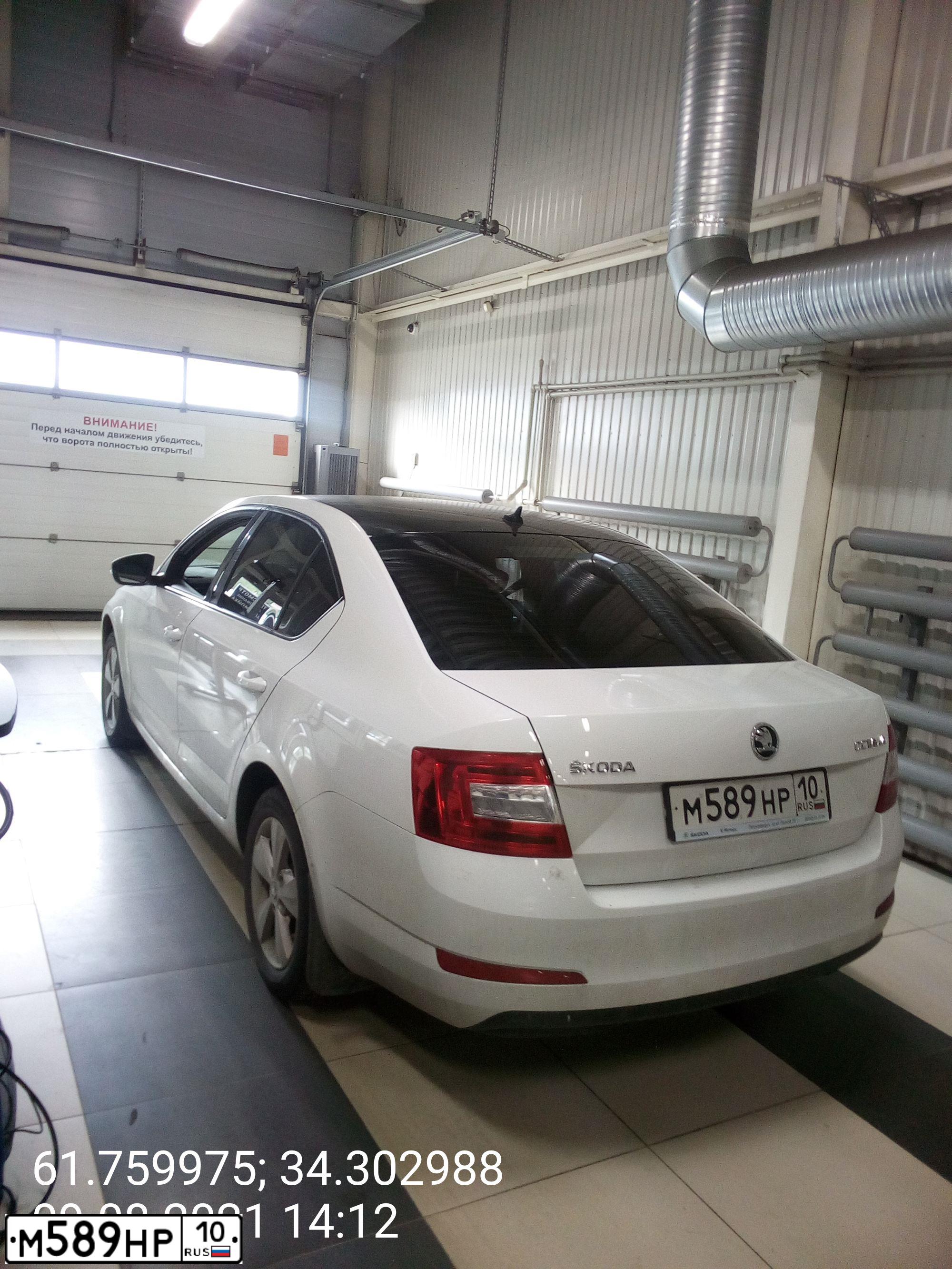 Фото автомобиля SKODA OCTAVIA, 2016 — госномер А272ХТ51