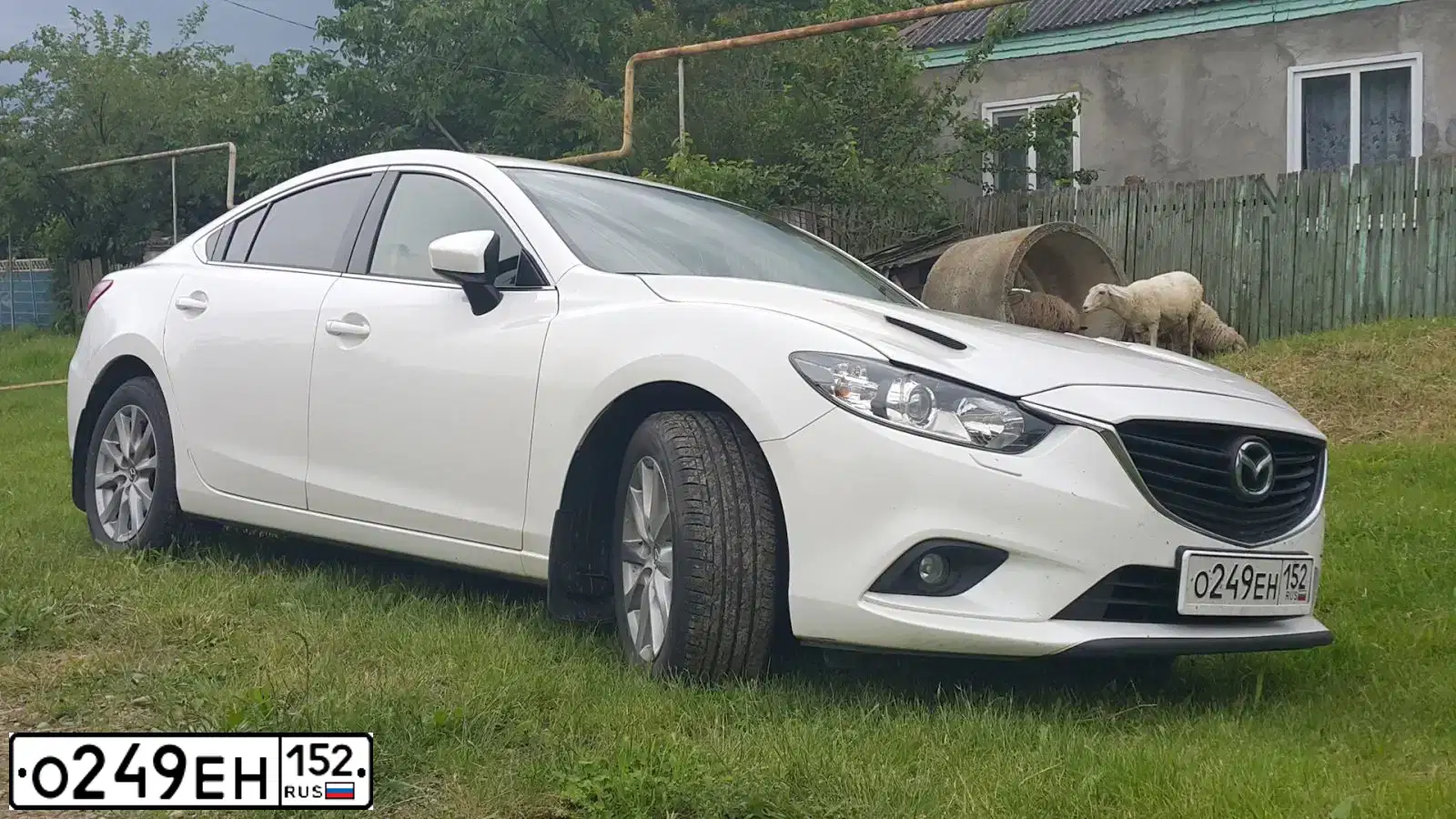 Фото автомобиля MAZDA 6, 2016 — госномер М609ХО790. Цвет: Белый
