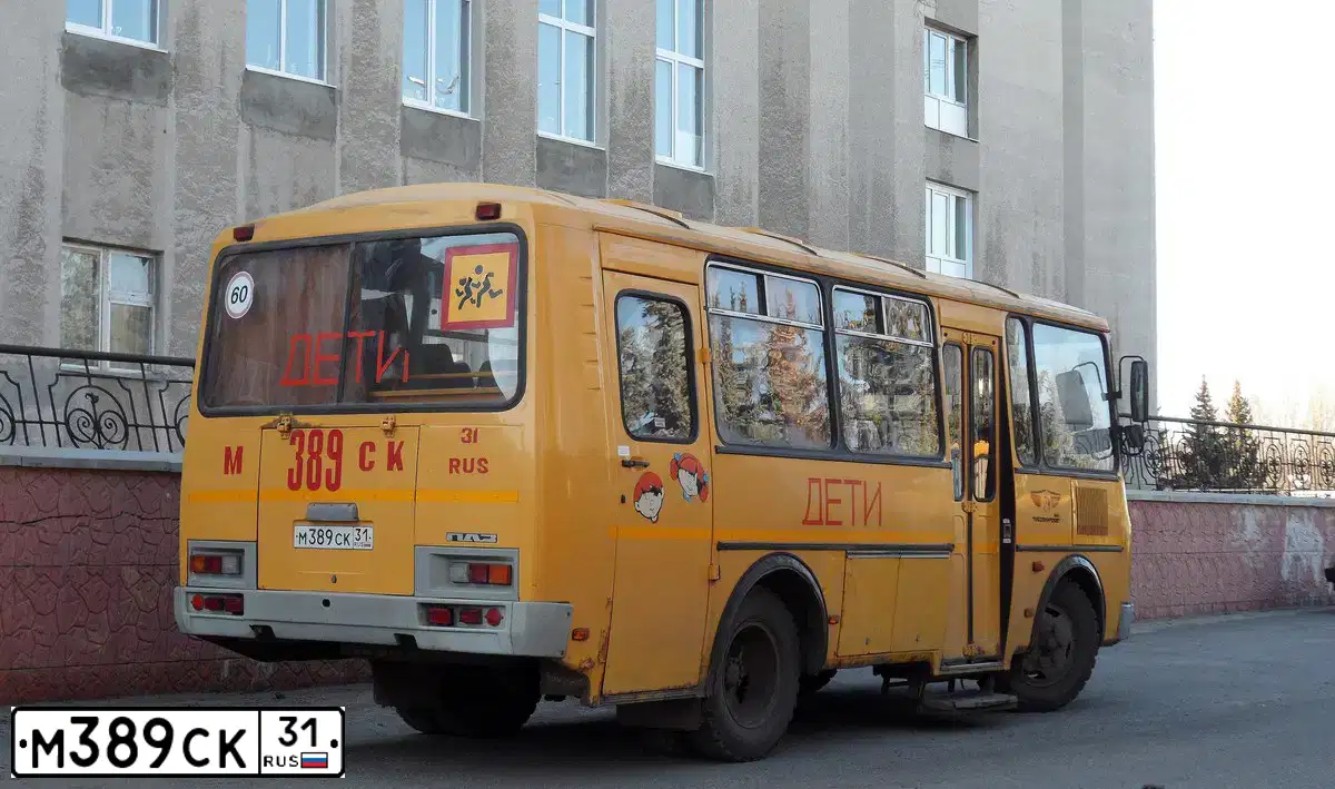 Фото автомобиля PAZ 3205, 2008 — госномер М389СК31. Цвет: ЖЁЛТЫЙ