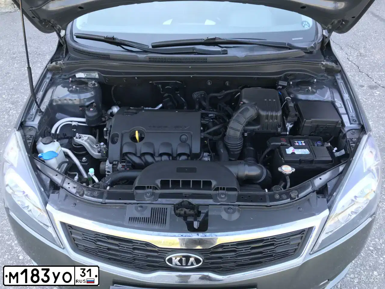 Фото автомобиля KIA CEE'D, 2010 — госномер М183УО31. Цвет: СЕРЕБРИСТЫЙ