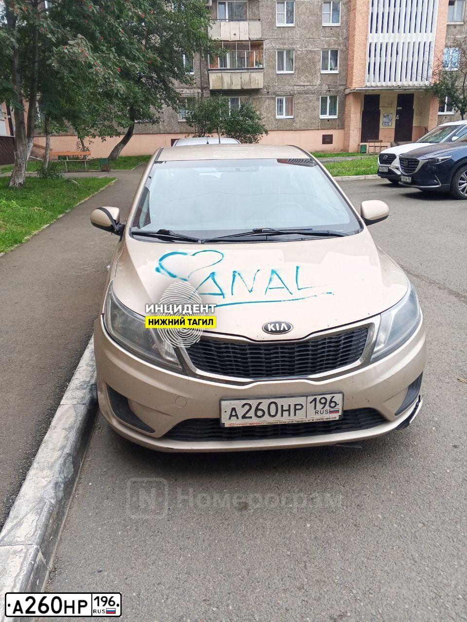 Фото автомобиля AUDI Q5, 2012 — госномер А260НР196. Цвет: БЕЛЫЙ