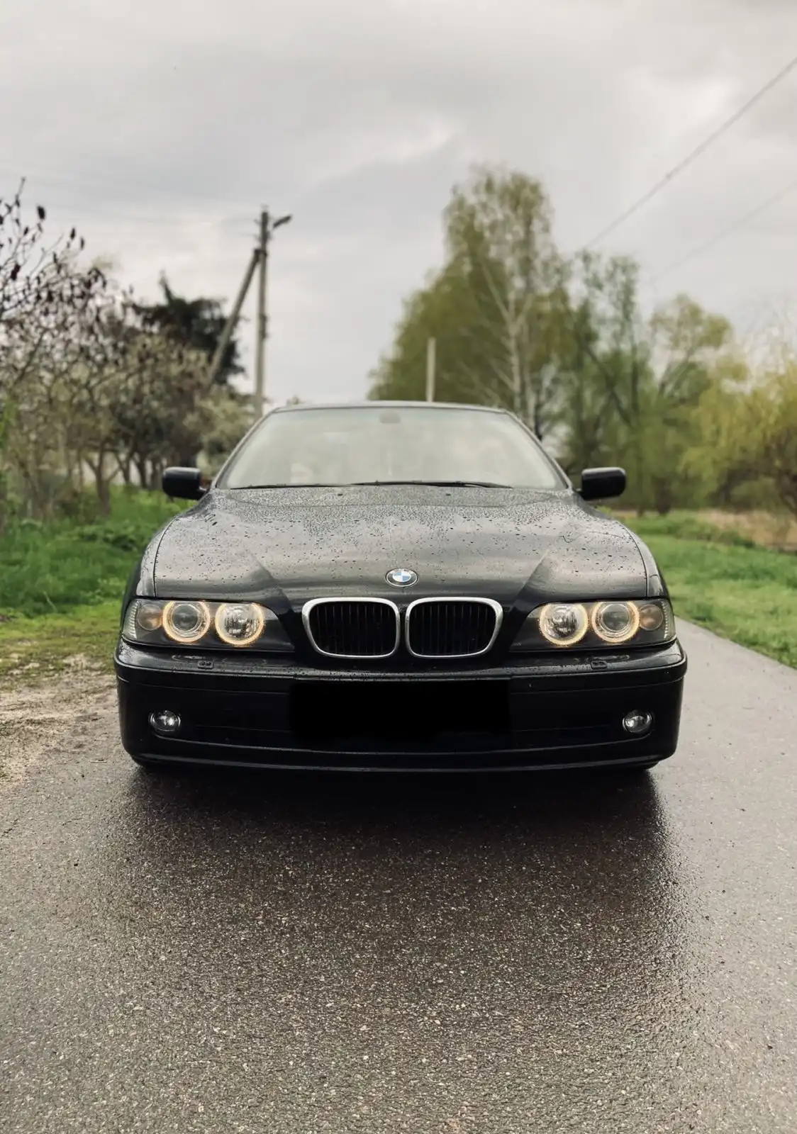 Фото автомобиля BMW 520IA, 2001 — госномер Р050РМ186