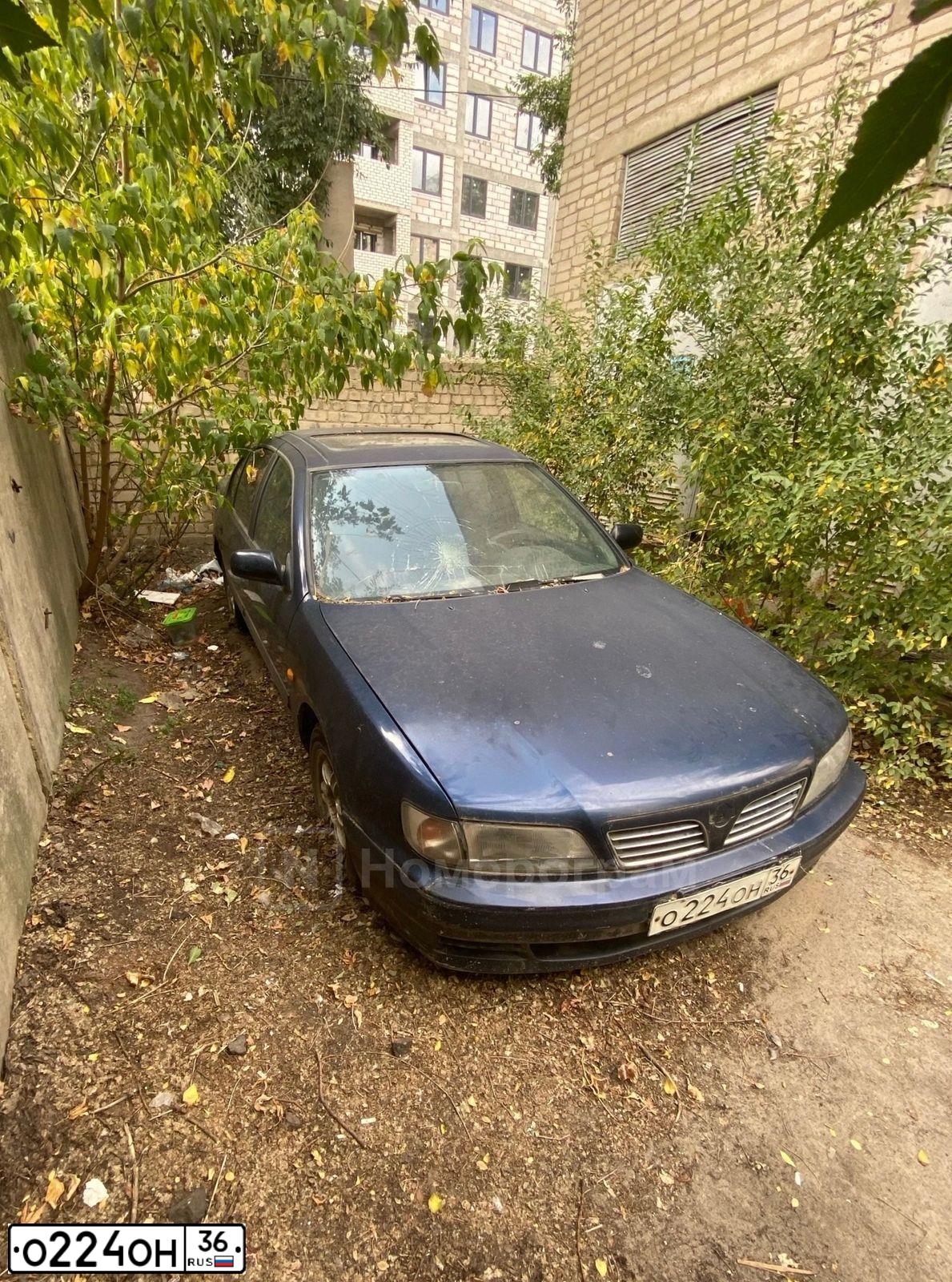 Фото автомобиля NISSAN MAXIMA, 1995 — госномер О224ОН36. Цвет: СИНИЙ