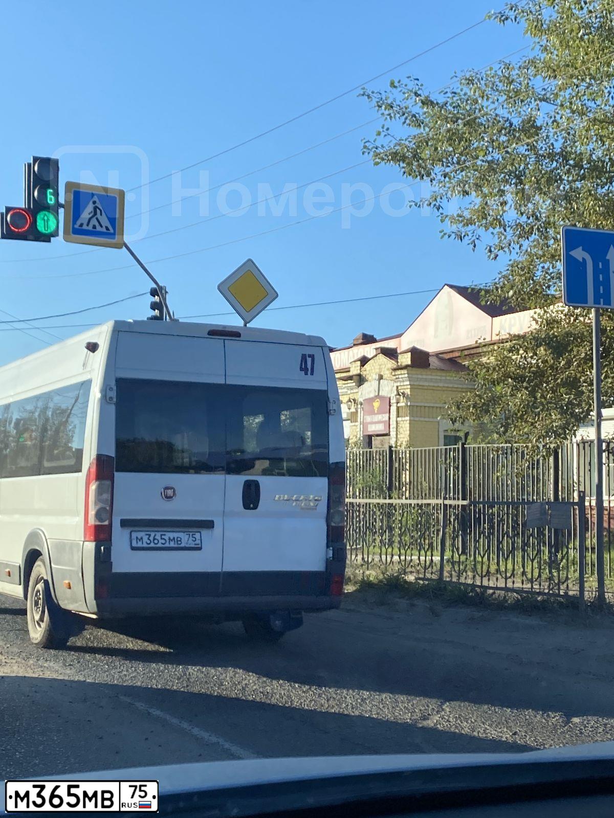 Фото автомобиля FIAT DUCATO, 2013 — госномер М365МВ75. Цвет: Белый