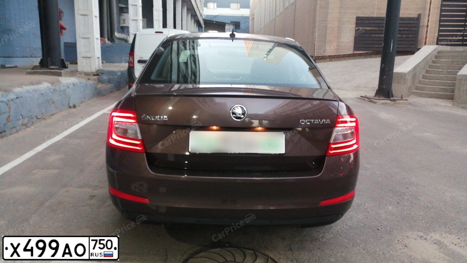 Фото автомобиля SKODA OCTAVIA, 2015 — госномер Н265ВМ62. Цвет: Коричневый