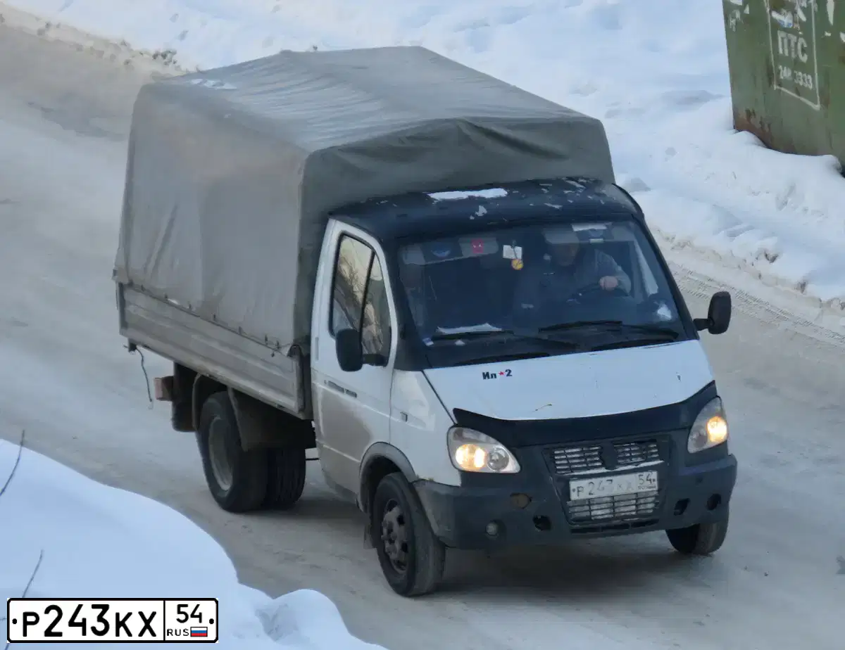 Фото автомобиля GAZ 3302 GAZEL, 2004 — госномер Р243КХ54. Цвет: СНЕЖНО БЕЛЫЙ