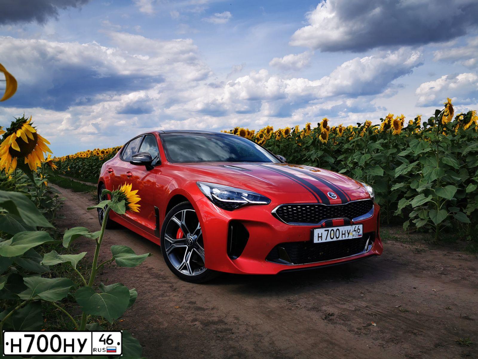 Фото автомобиля KIA STINGER, 2018 — госномер Р272РВ186
