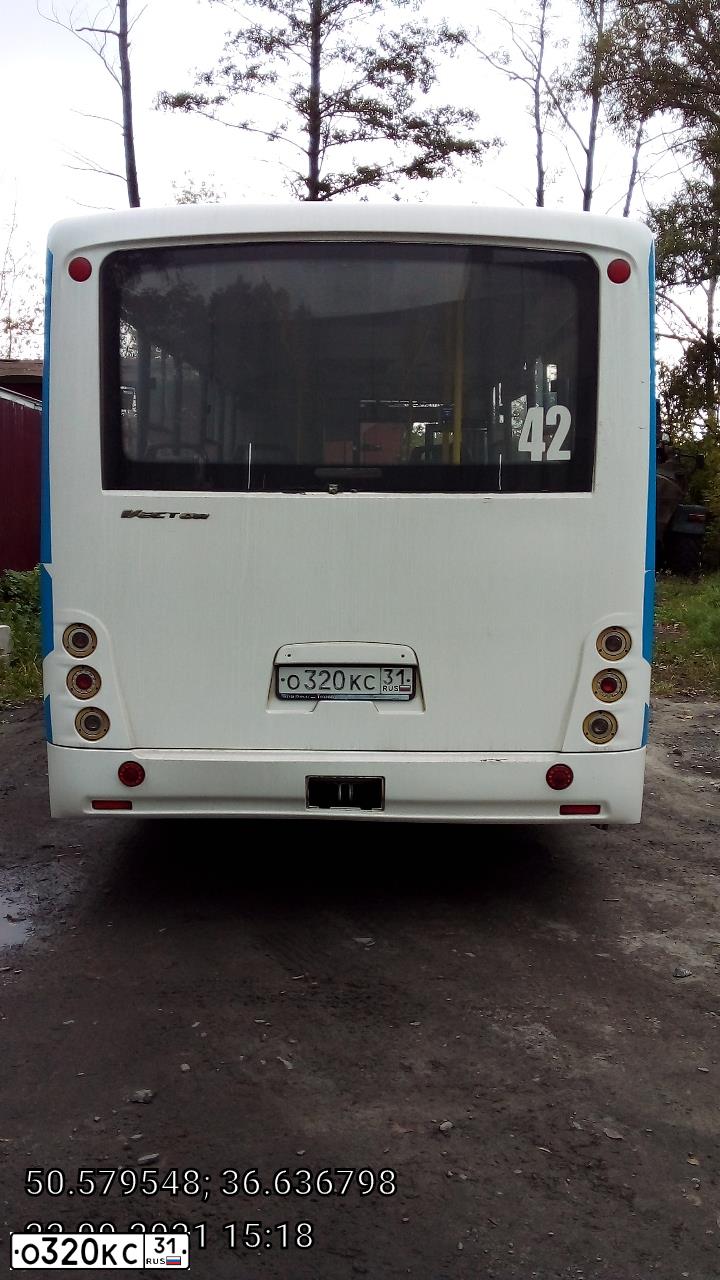 Фото автомобиля PAZ 3204, 2016 — госномер О320КС31. Цвет: Белый