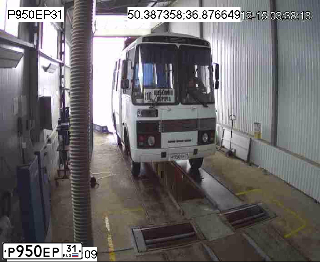 Фото автомобиля PAZ 3205, 2004 — госномер Р950ЕР31. Цвет: Бело-Синий