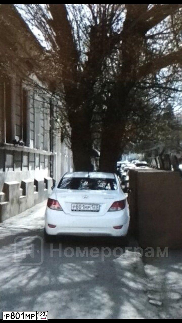 Фото автомобиля HYUNDAI SOLARIS, 2013 — госномер Р801МР123. Цвет: БЕЛЫЙ