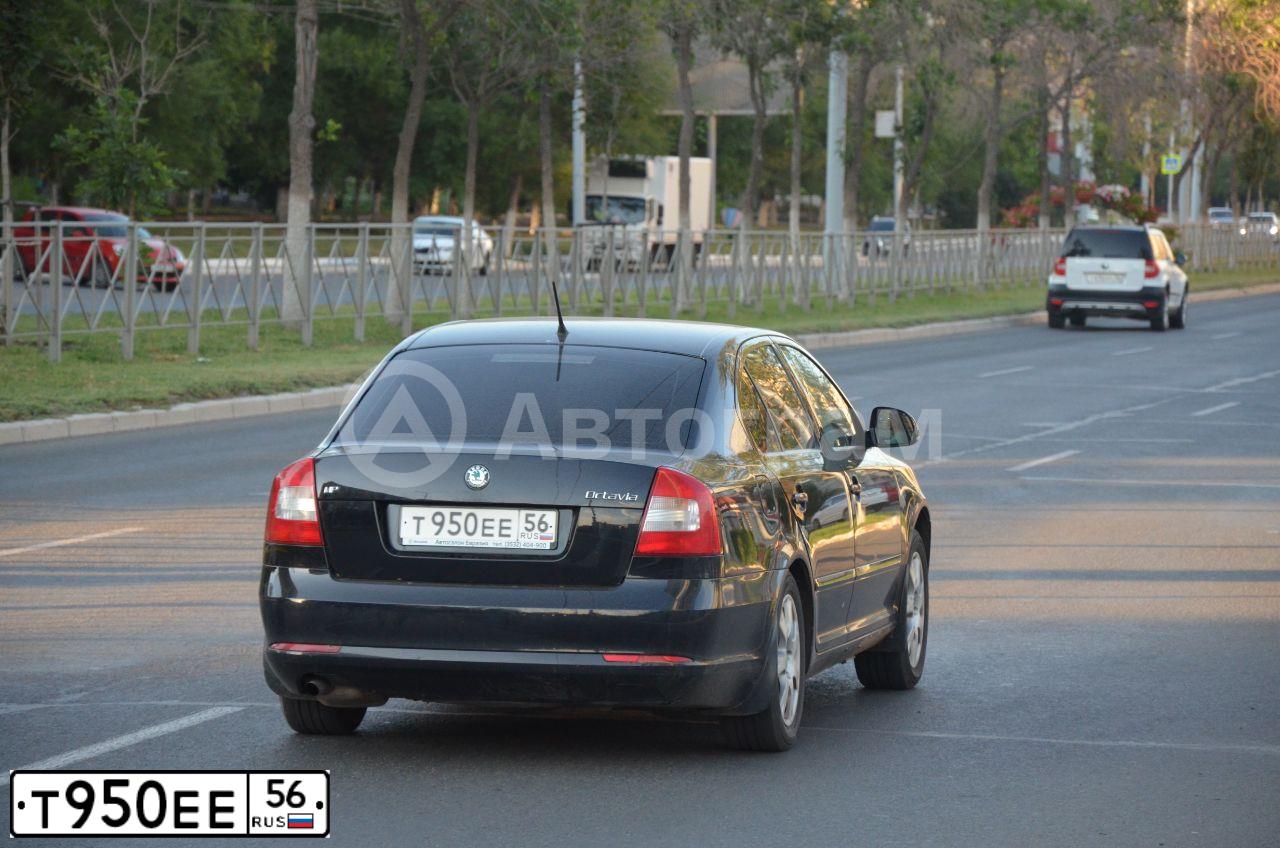 Фото автомобиля SKODA OCTAVIA, 2012 — госномер Т950ЕЕ56. Цвет: ЧЕРНЫЙ