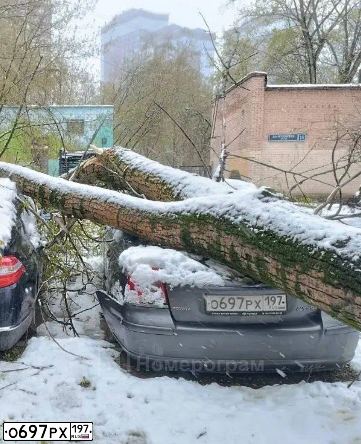 Фото автомобиля TOYOTA AVENSIS, 2006 — госномер О697РХ197. Цвет: СЕРЫЙ