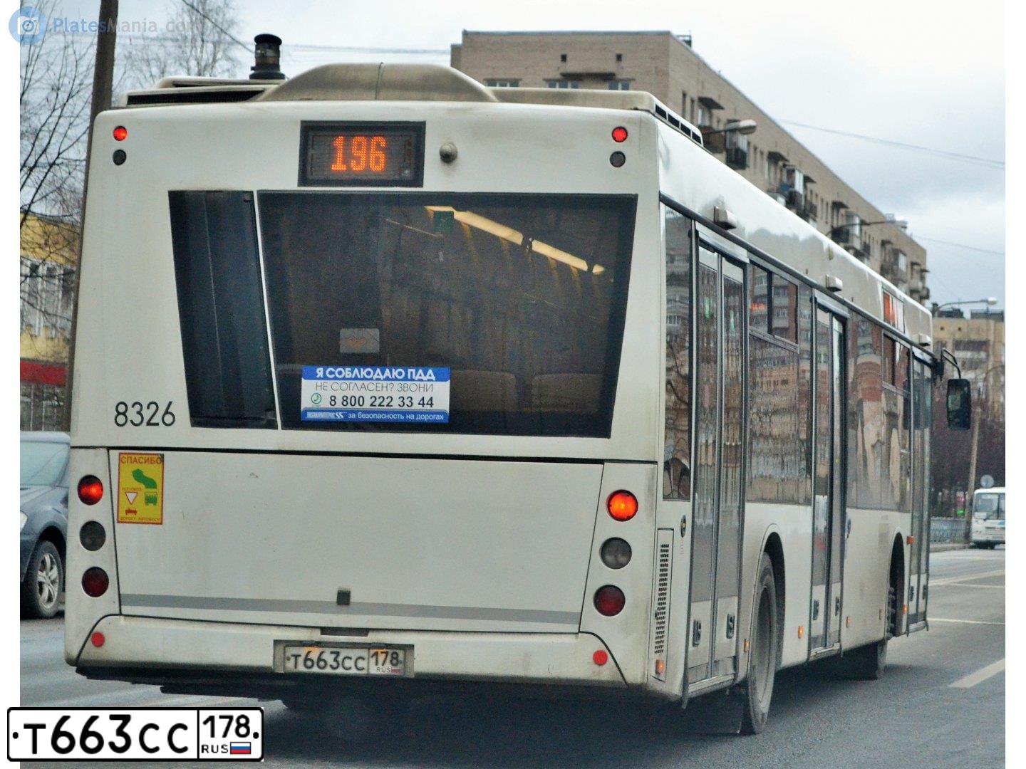 Фото автомобиля MAZ 203, 2015 — госномер К185ВС37. Цвет: БЕЛЫЙ