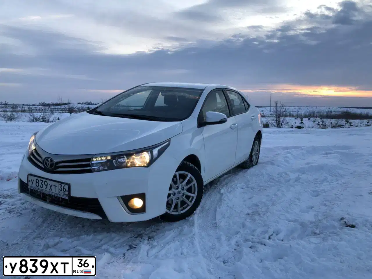 Фото автомобиля TOYOTA COROLLA, 2014 — госномер У839ХТ36. Цвет: БЕЛЫЙ