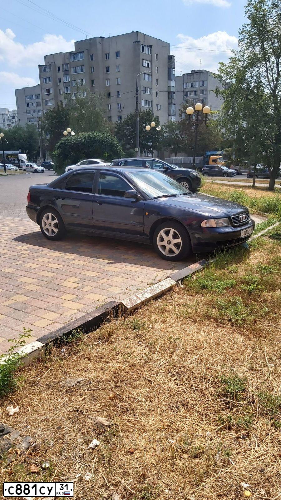 Фото автомобиля AUDI A4, 1997 — госномер У804ВТ31. Цвет: Темно-синий