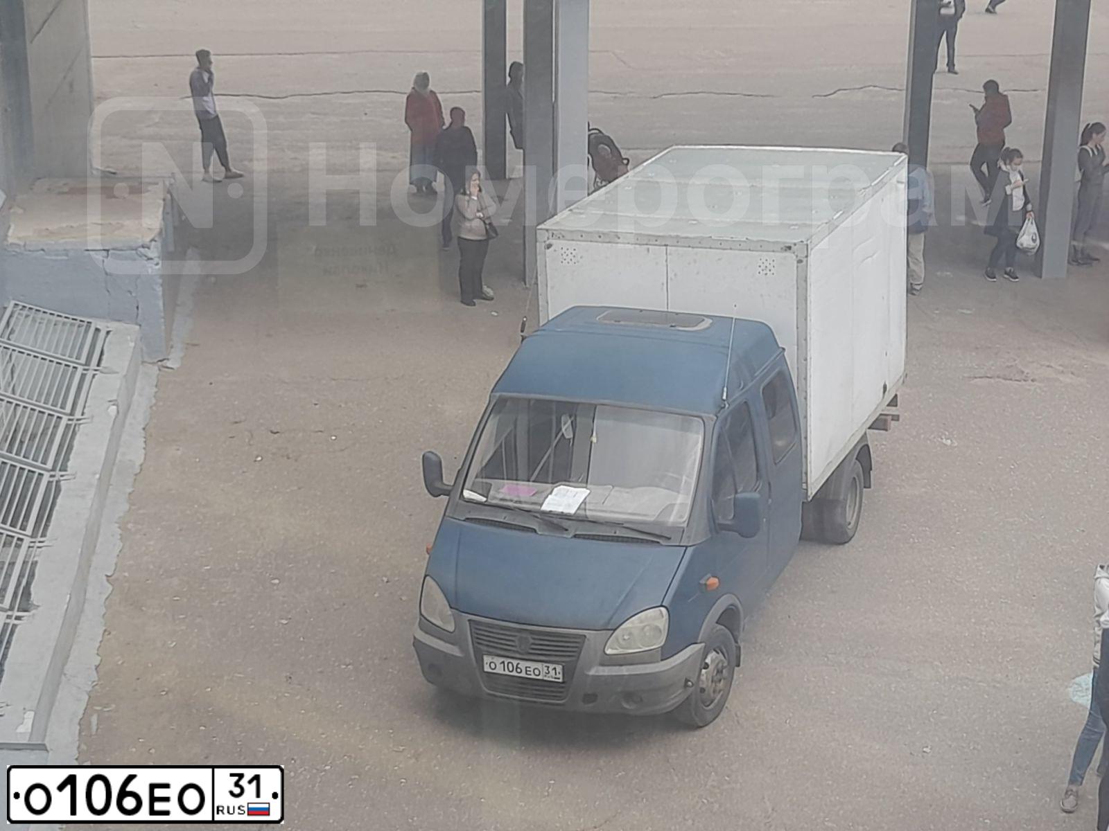 Фото автомобиля GAZ 3302 EL, 2008 — госномер О106ЕО31. Цвет: ТЕМНО-СИНИЙ