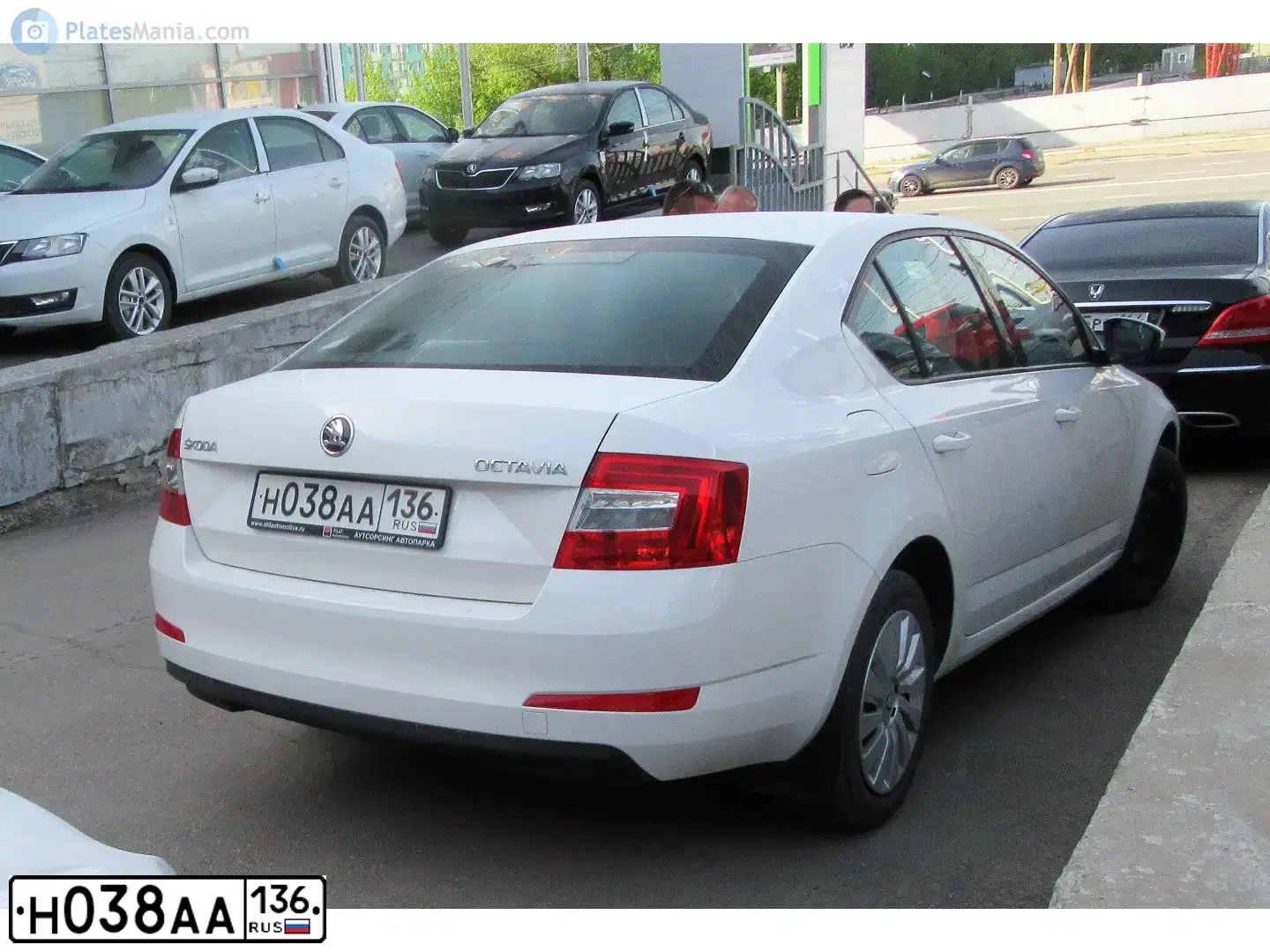 Фото автомобиля SKODA OCTAVIA, 2015 — госномер К603КС21. Цвет: Белый