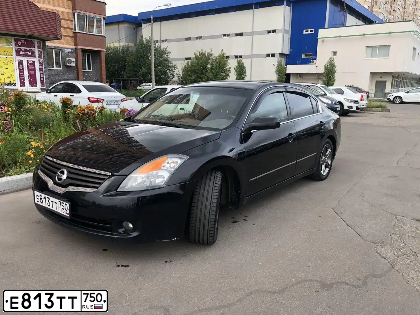 Фото автомобиля NISSAN ALTIMA, 2008 — госномер У761СТ69. Цвет: ЧЕРНЫЙ