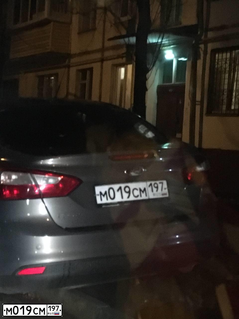 Фото автомобиля FORD FOCUS, 2012 — госномер М019СМ197. Цвет: СЕРО-КОРИЧНЕВЫЙ