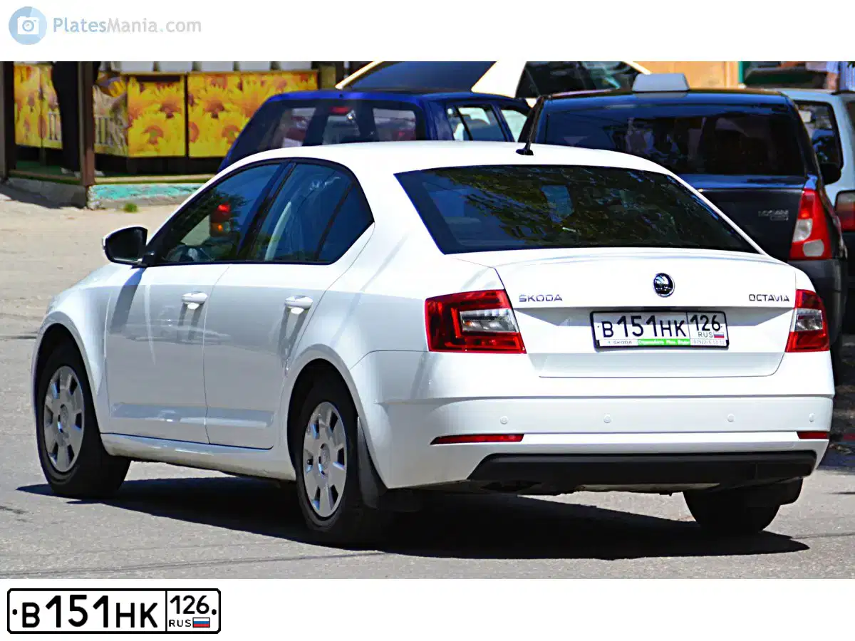 Фото автомобиля SKODA OCTAVIA, 2017 — госномер В151НК126. Цвет: БЕЛЫЙ