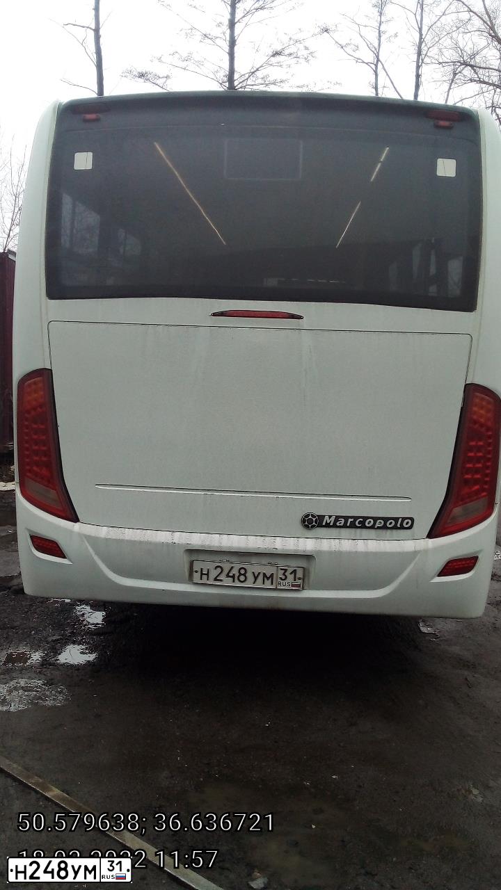 Фото автомобиля NEFAZ Z 3297 MARCOPOLO, 2013 — госномер Н248УМ31. Цвет: Белый