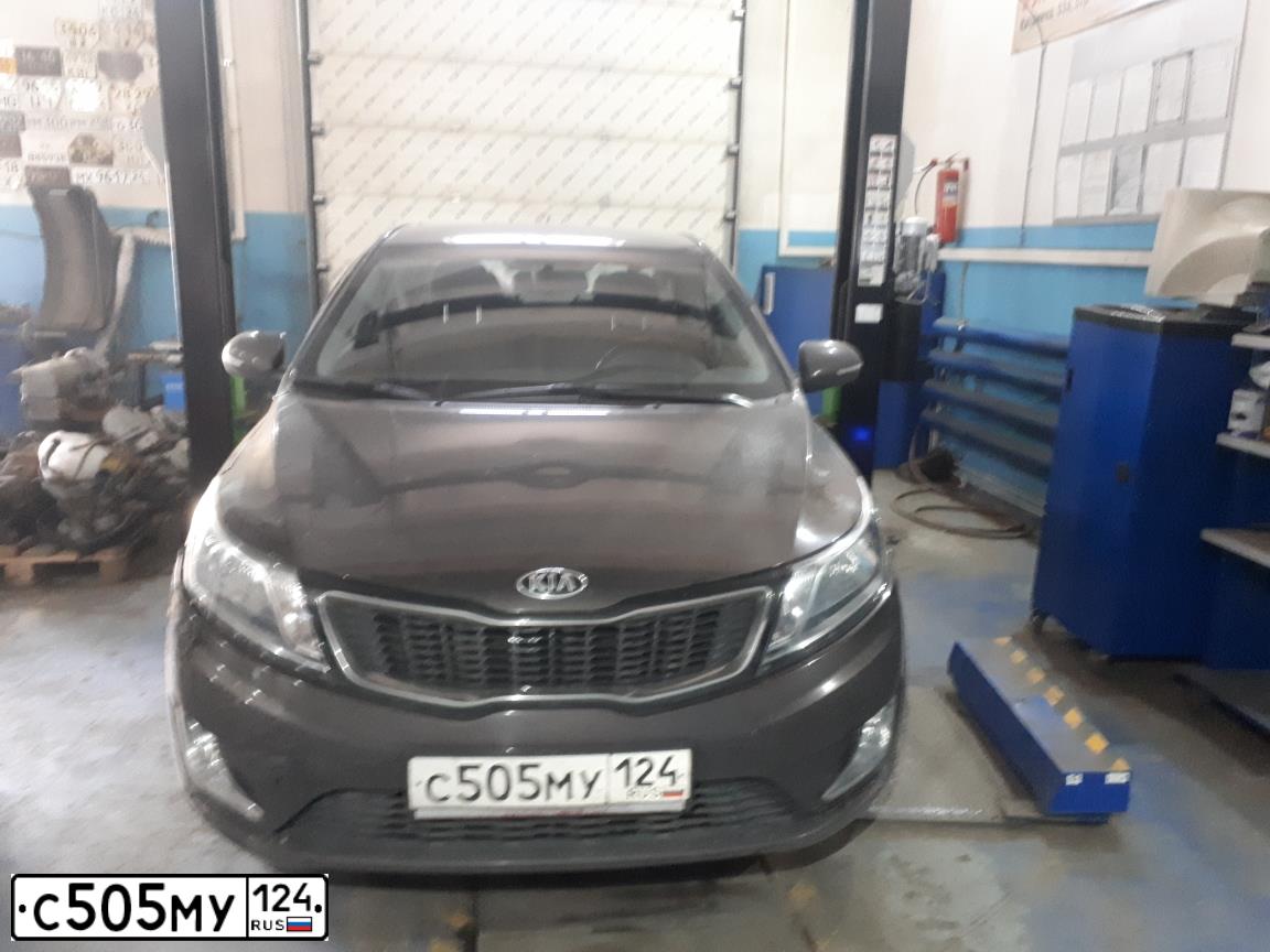 Фото автомобиля KIA RIO, 2015 — госномер С505МУ124. Цвет: КОРИЧНЕВЫЙ